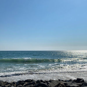 Meet your Posher, Claire